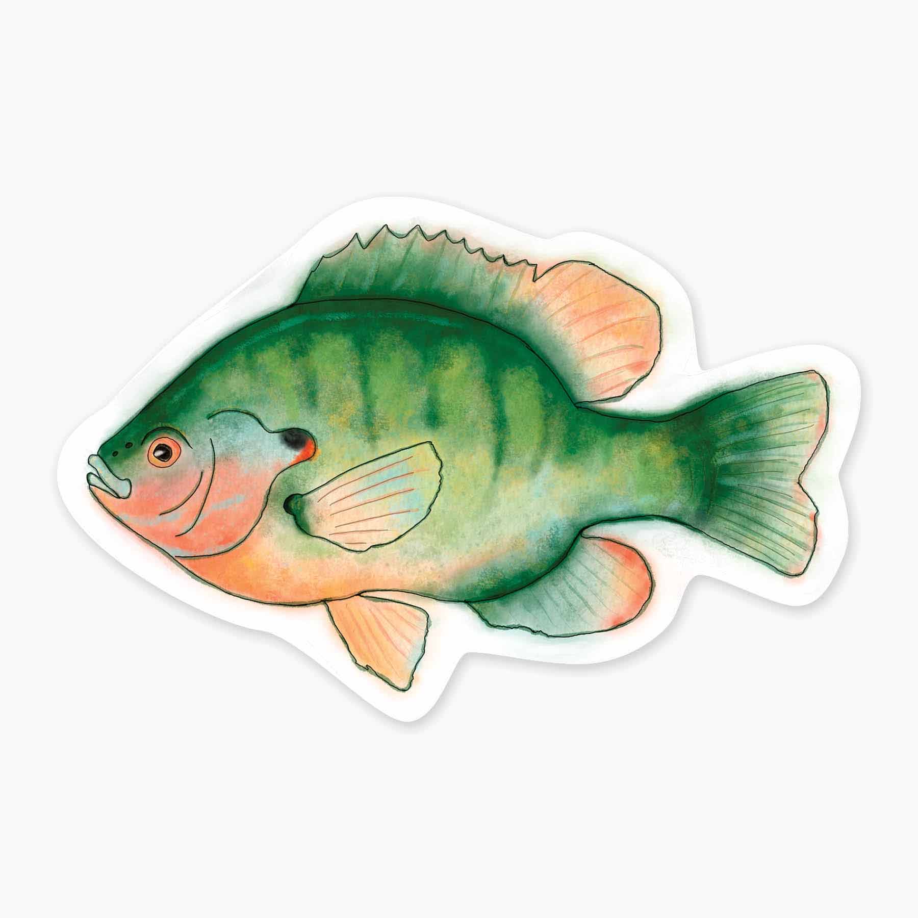 SUNFISH 3