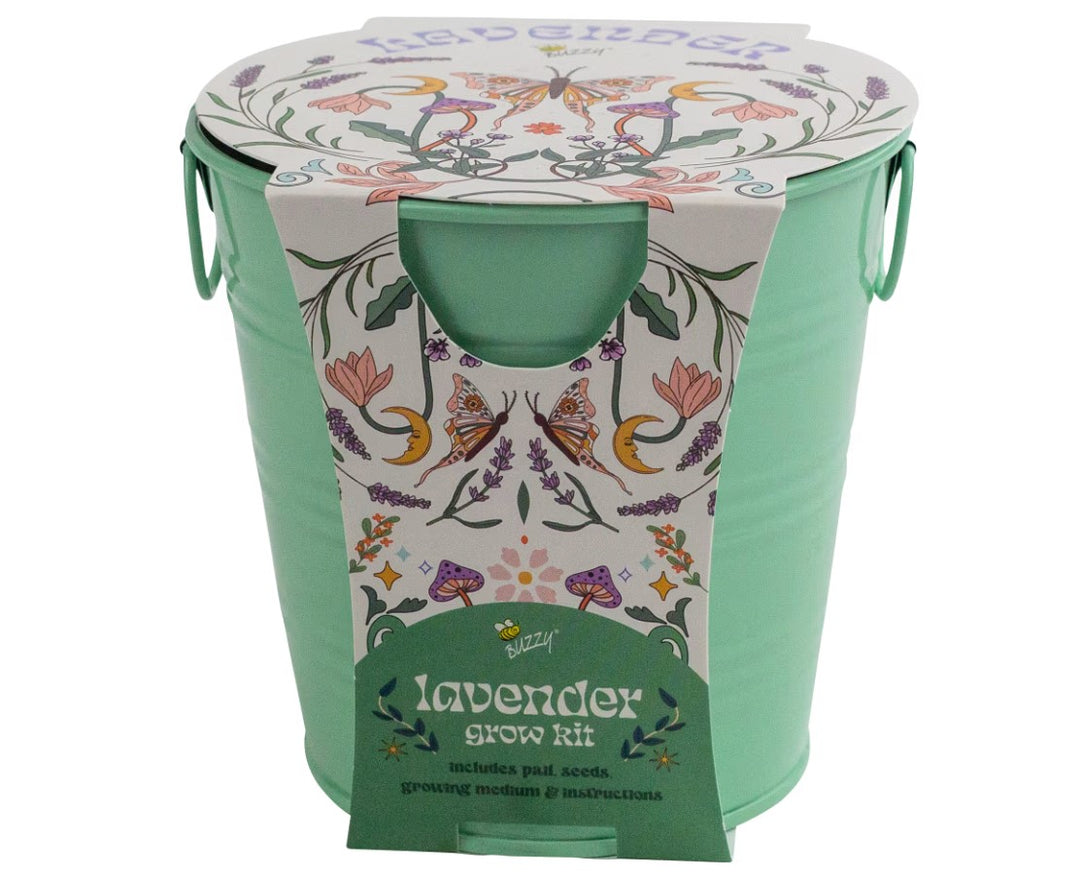 buzzy seeds lavender instructions PAINTED FLOWER PAIL-LAVENDER