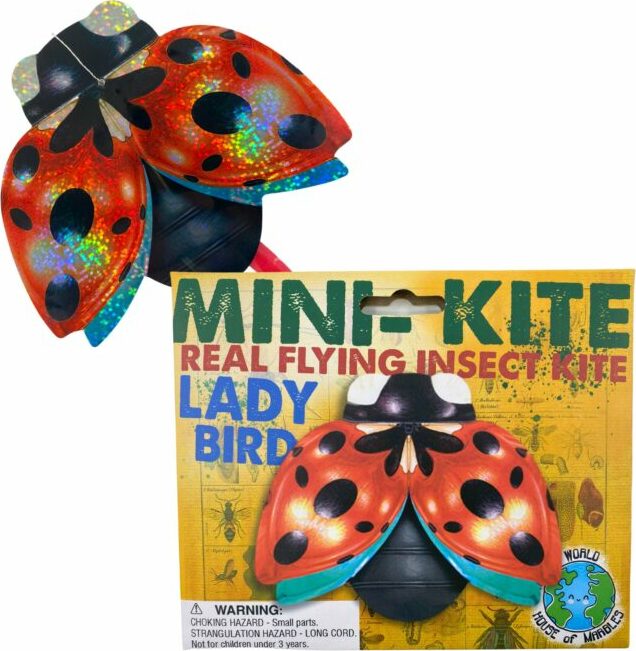 THESE MINI KITES ARE THE PERFECT SIZE FOR LITTLE ONES TO HANDLE! EACH ...