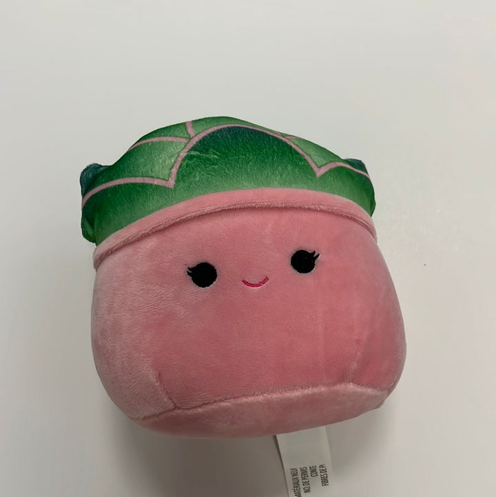 succulent squishmallow Squishmallow 5" SUCCULENTS