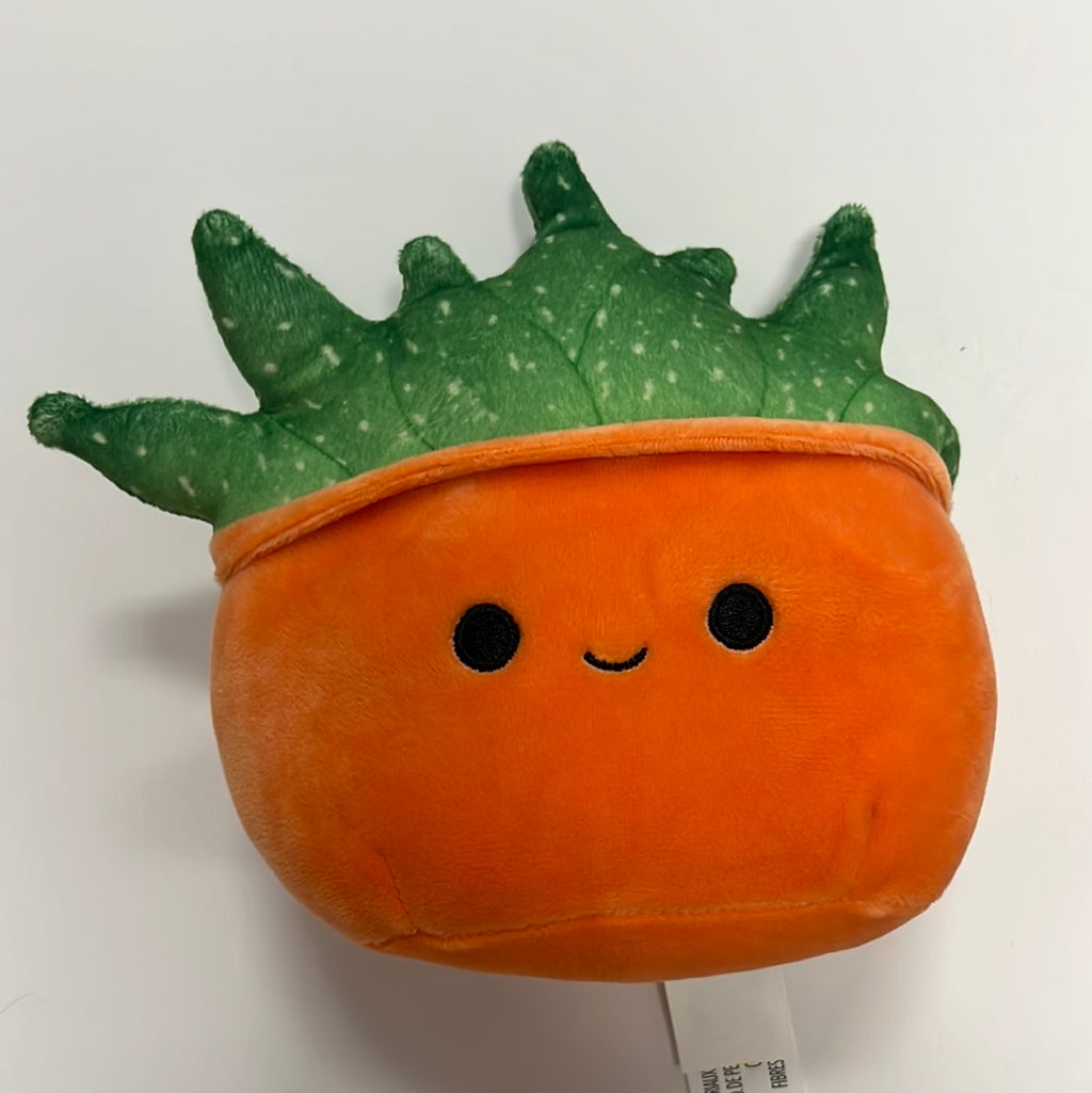 succulent squishmallow SQUISHMALLOW 5" SUCCULENTS