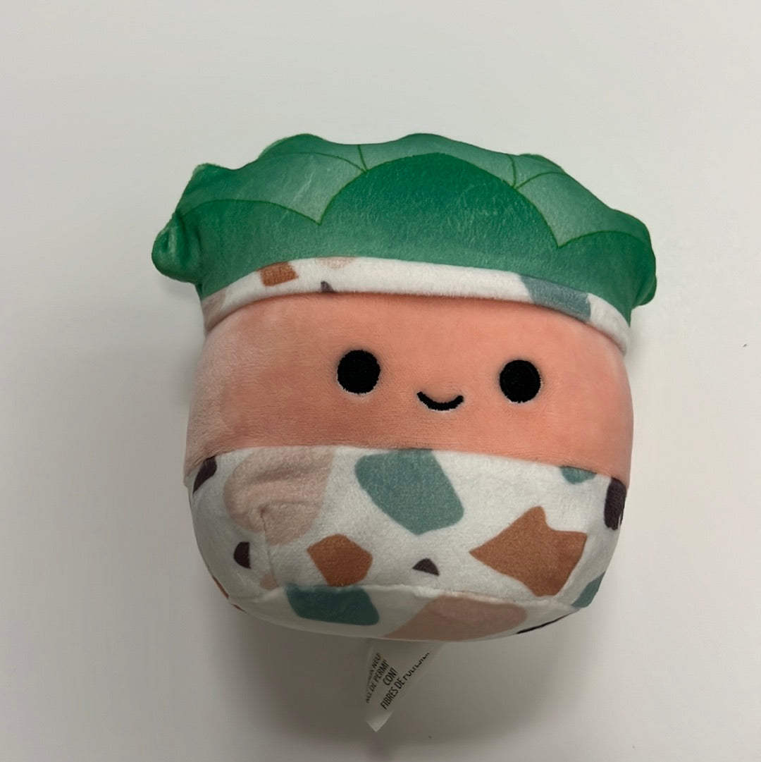 succulent squishmallow Squishmallow 5" SUCCULENTS