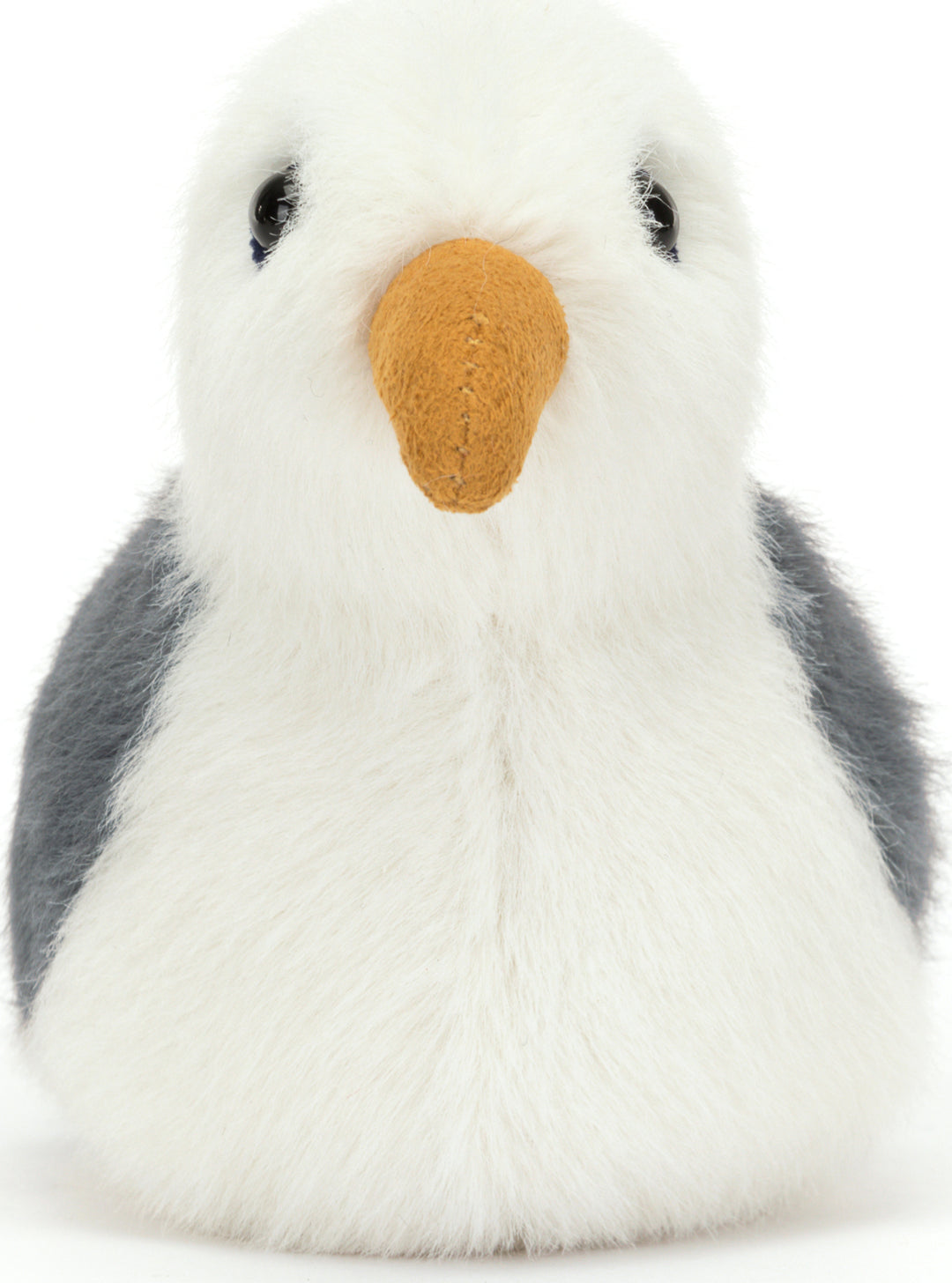 BIRDLING SEAGULL