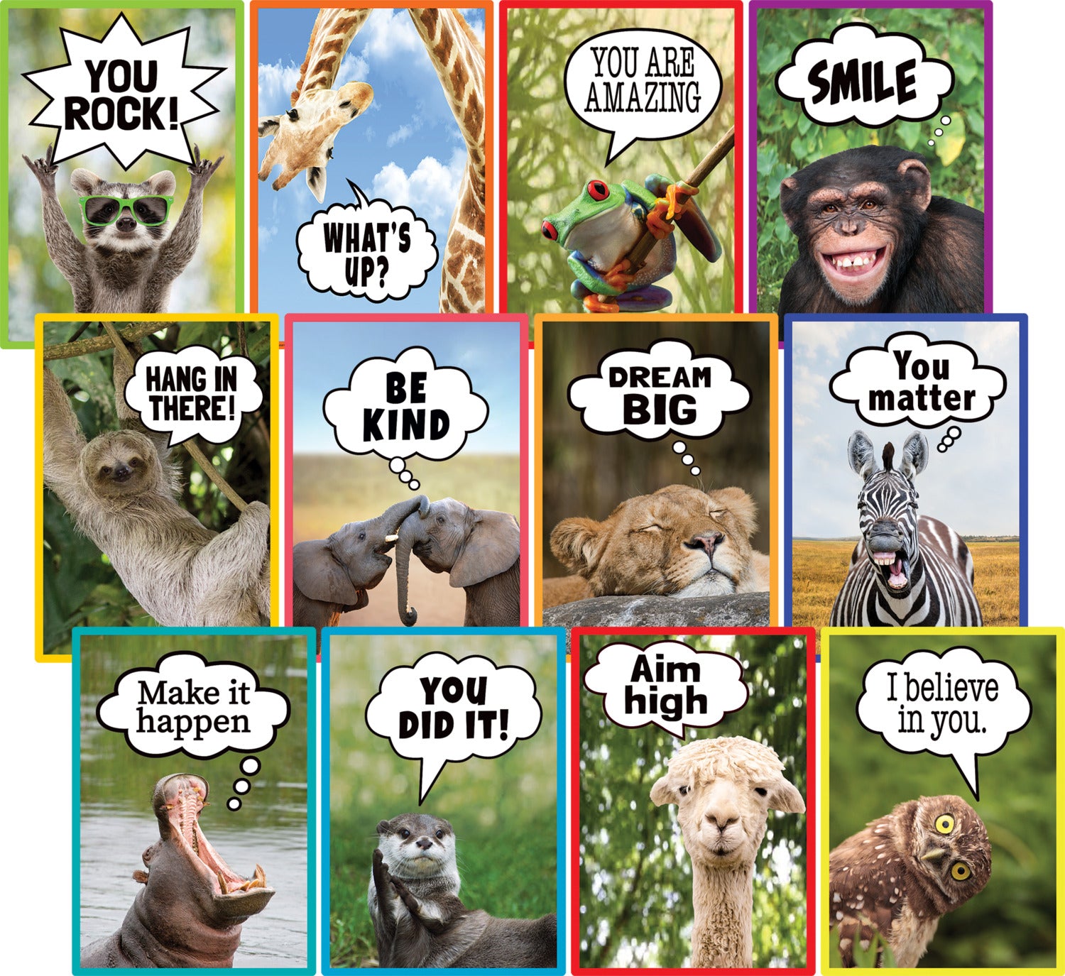 Go Wild Animals Small Poster Pack – Learning Post & Toys