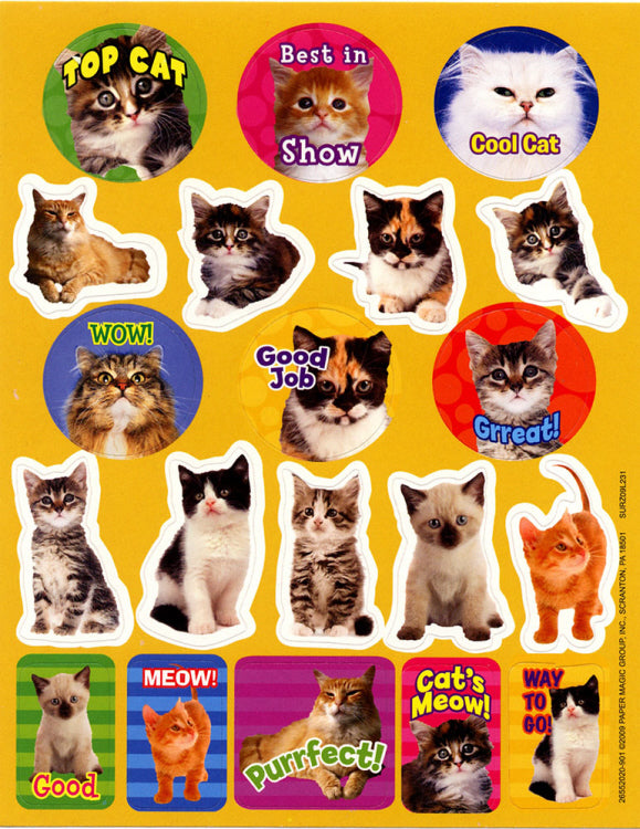 Motivational Cats Stickers - Theme – Learning Post & Toys