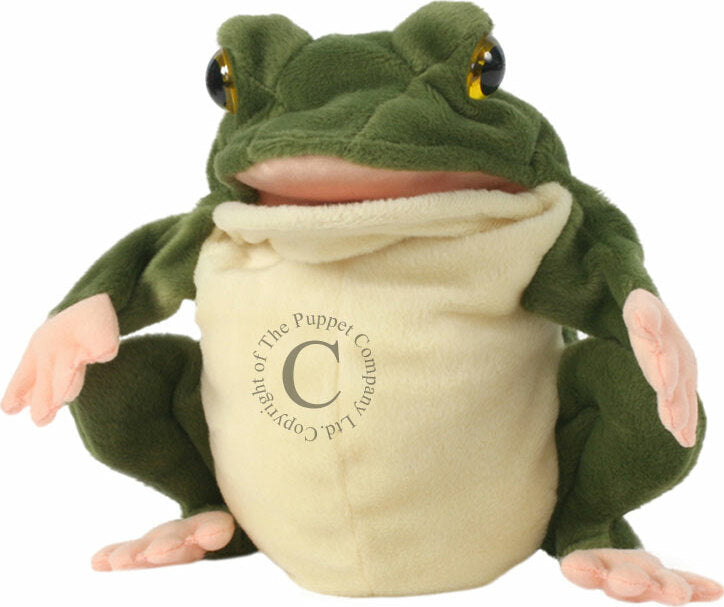 WILDLIFE HAND PUPPET:FROG – Learning Post & Toys