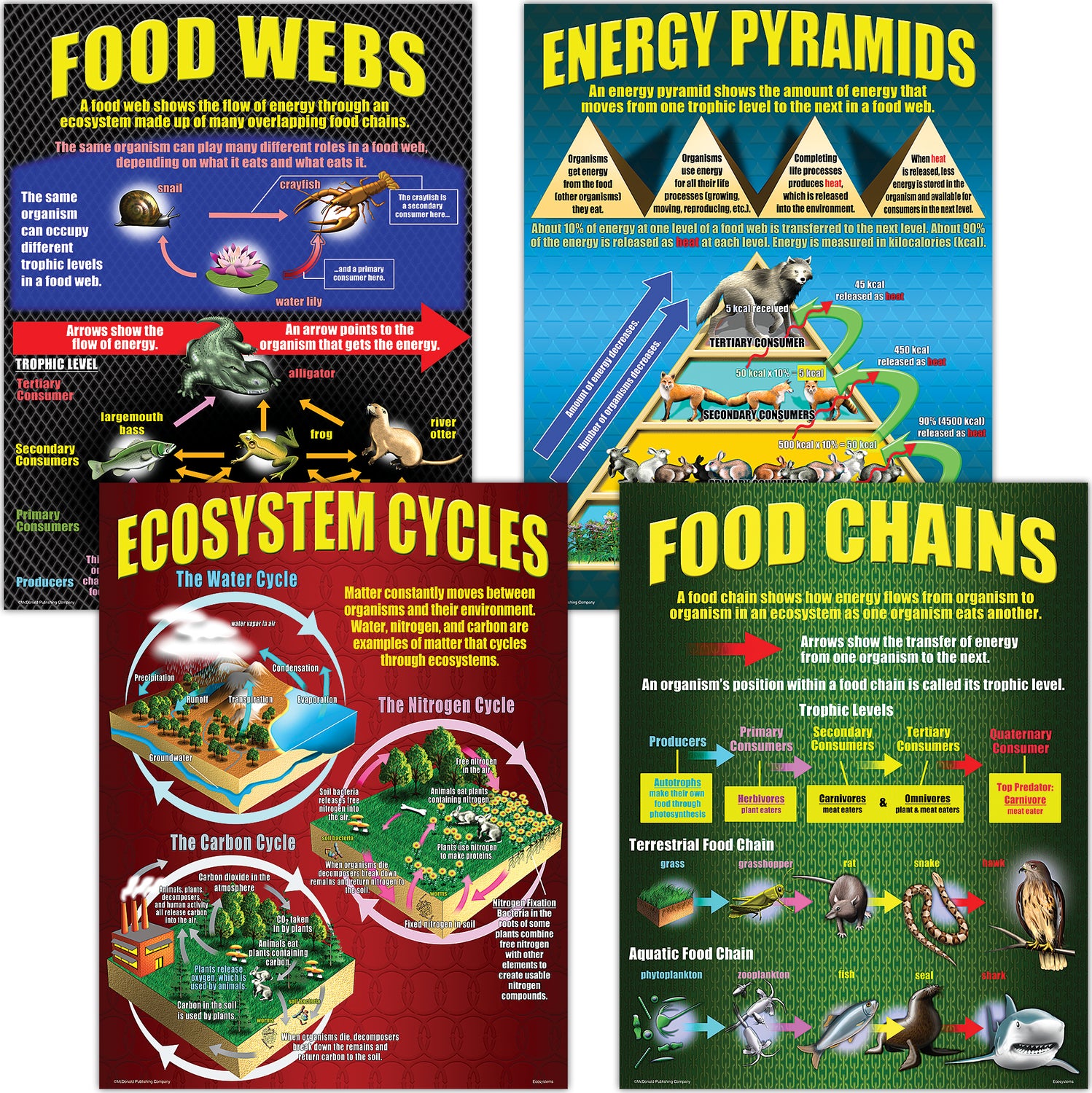 Ecosystem Post Ecosystems Poster Set – Learning Post & Toys